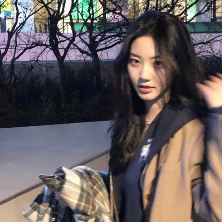 土豚