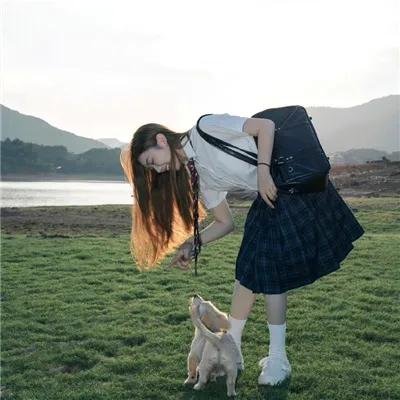 海棠春